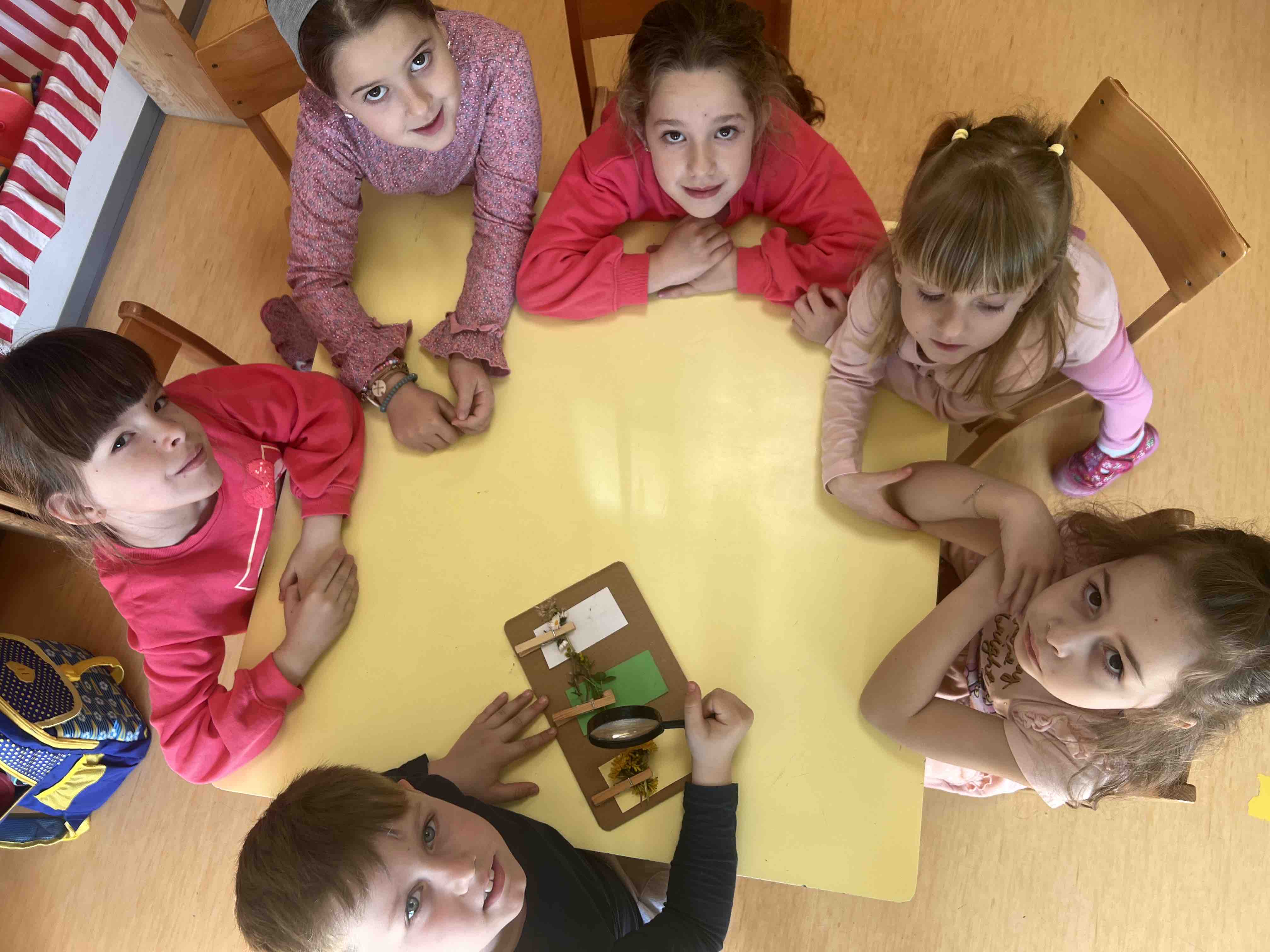 IMG 2d8d1e53f79007869956d67da2875819 V