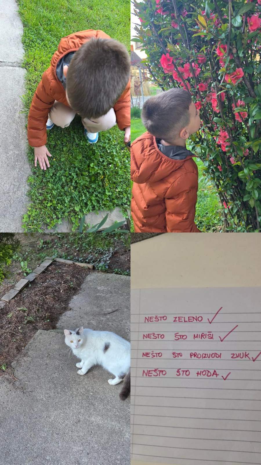 IMG de17c4debd520f492f5bc3d409677155 V